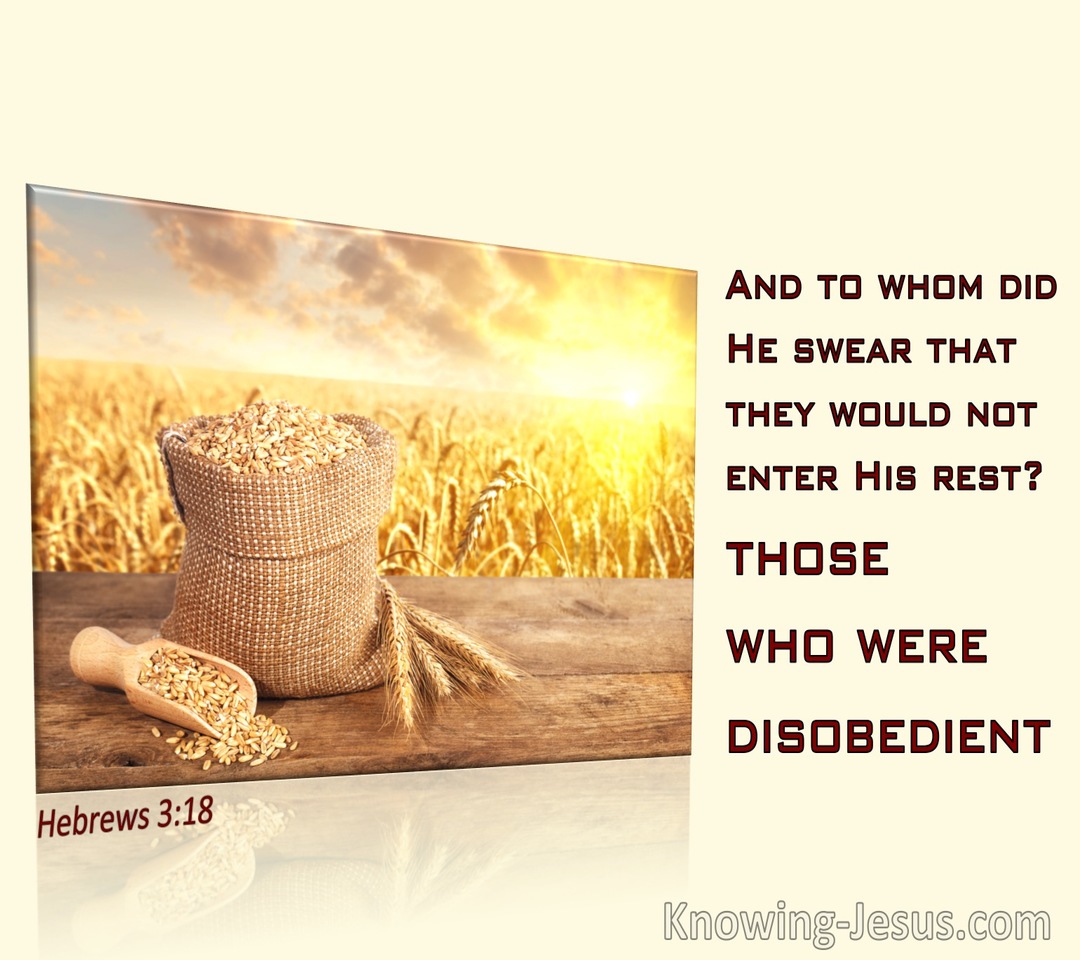 Hebrews 3:18 To Whom Did He Swear That They Would Not Enter His Rest (yellow)